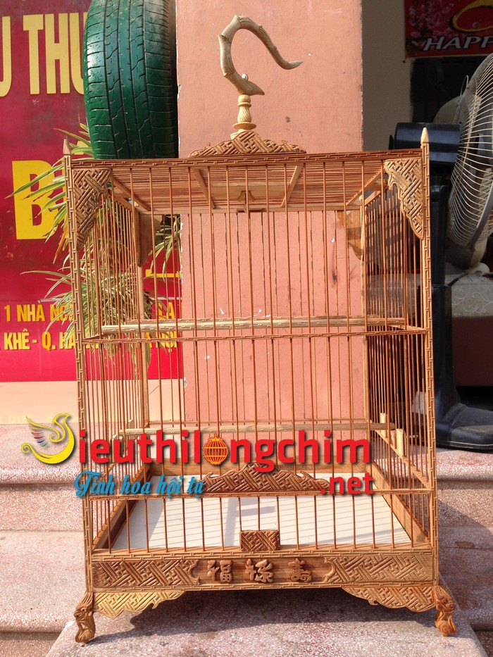 Chim Chào Mào Bạch Tạng: Đặc điểm, Cách nuôi - Ăn gì, Giá