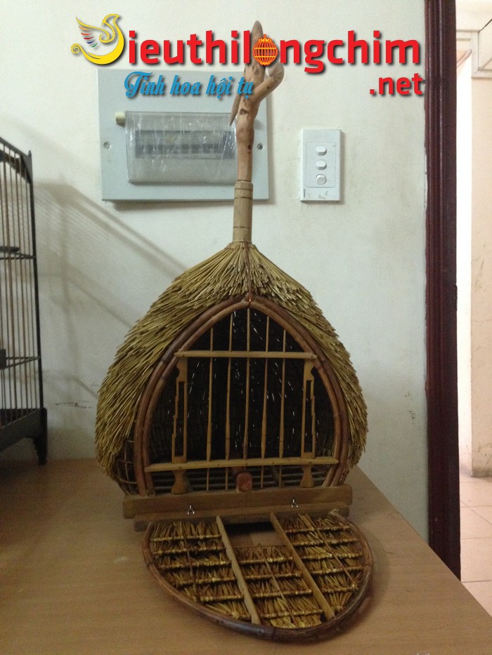Cách chọn và nuôi chim chào mào trống – Chim Cảnh Việt